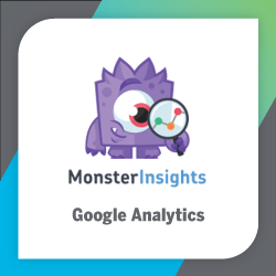 MonsterInsights is one of the best WordPress plugins for blogs to make the most of Google analytics.