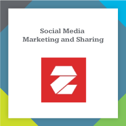 Zotabox is a top WordPress plugin for businesses to boost their social media marketing.